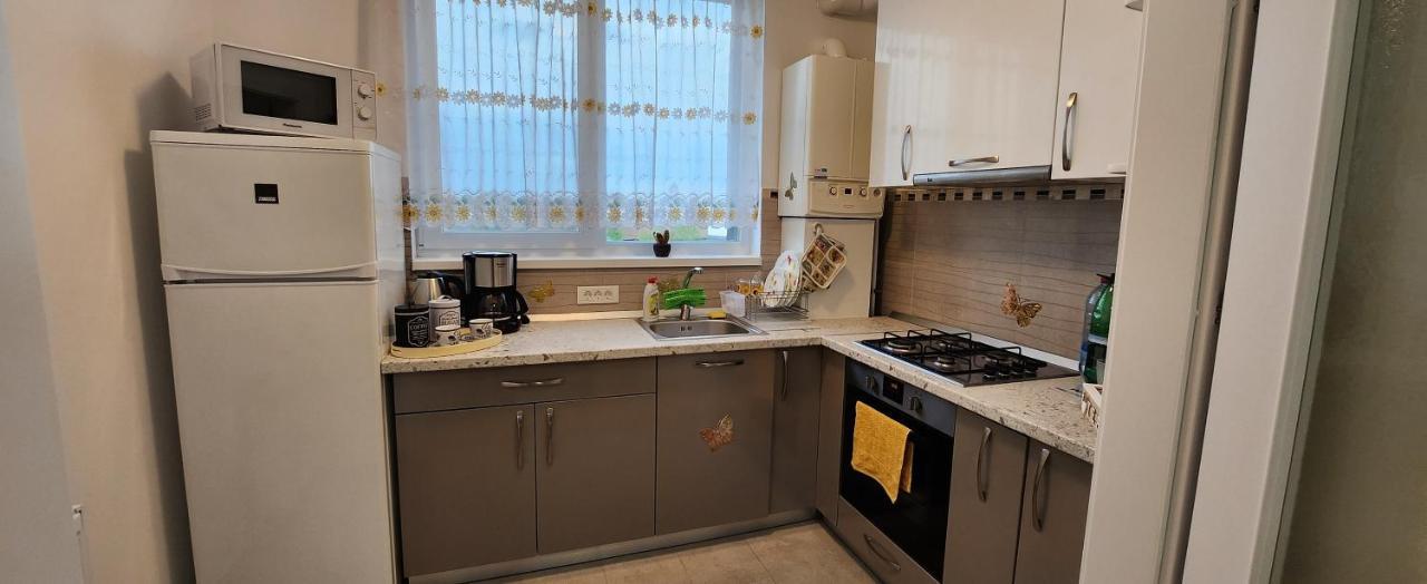 Butterfly Apartment Timişoara Buitenkant foto