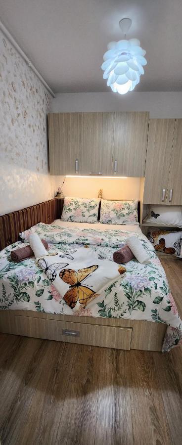 Butterfly Apartment Timişoara Buitenkant foto