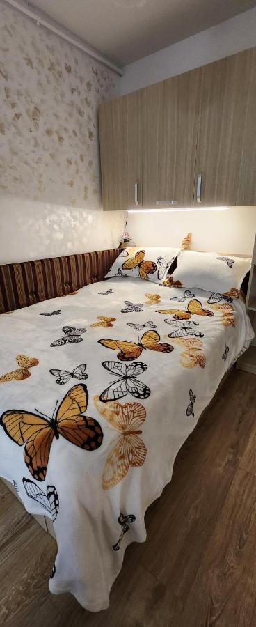 Butterfly Apartment Timişoara Buitenkant foto